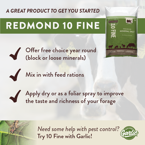 10 Fine - Premium Mineral Salt