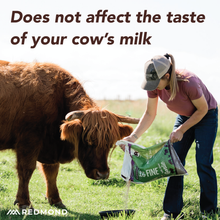 Load image into Gallery viewer, 10 Fine with Garlic