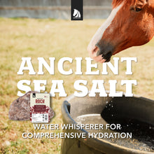 Load image into Gallery viewer, Redmond Rock® - Mined Horse Salt Lick