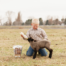 Load image into Gallery viewer, First Month® - Immune Stimulator