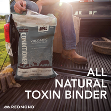 Load image into Gallery viewer, Conditioner®