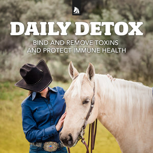 Daily Gold® - Horse Gut Supplements