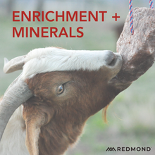 Load image into Gallery viewer, Goat Rock on a Rope