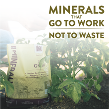 Load image into Gallery viewer, Mineralyte Soil Amendments
