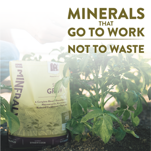 Mineralyte Soil Amendments