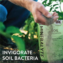 Load image into Gallery viewer, Mineralyte Soil Amendments

