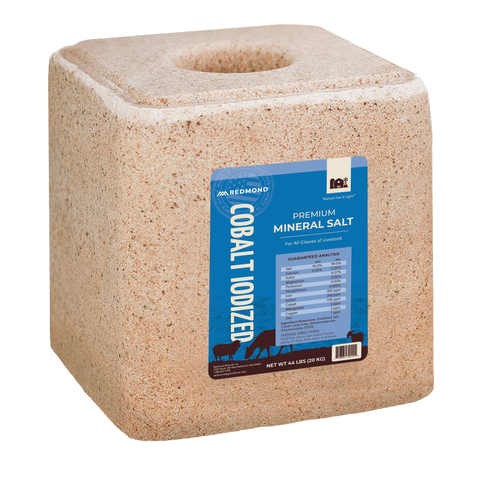 Cobalt Iodized Block