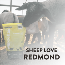 Load image into Gallery viewer, Sheep Mineral