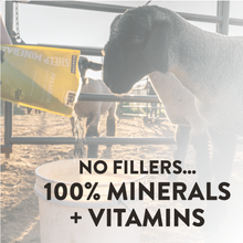 Load image into Gallery viewer, Sheep Mineral