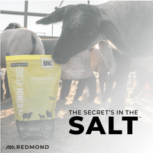 Load image into Gallery viewer, Sheep Mineral