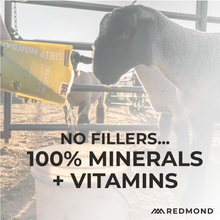 Load image into Gallery viewer, Sheep Mineral