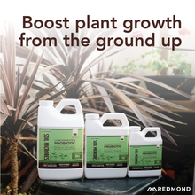 Load image into Gallery viewer, Soil Microbes - Concentrated Probiotic