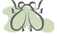 Agriculture shape icon