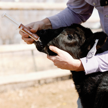 Load image into Gallery viewer, First Month® - Immune Stimulator