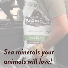 Load image into Gallery viewer, 10 Fine - Premium Mineral Salt
