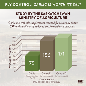 10 Fine with Garlic is natural pest control
