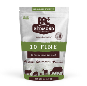 10 Fine - Premium Mineral Salt