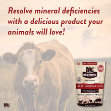 Load image into Gallery viewer, Beef Mineral
