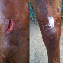 Load image into Gallery viewer, First Aid for Horses - Bentonite Clay Wound Ointment
