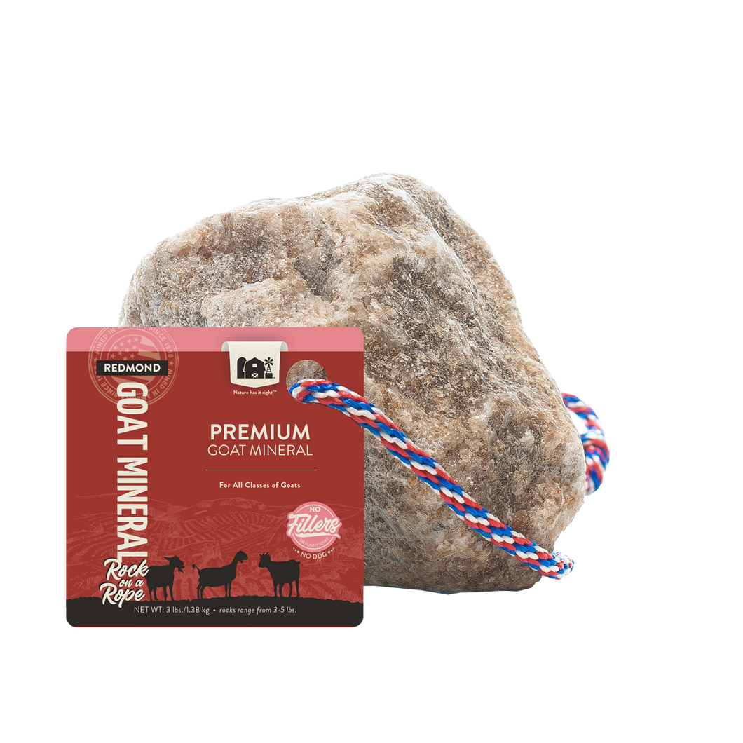 Goat Rock on a Rope