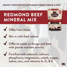 Load image into Gallery viewer, Beef Mineral
