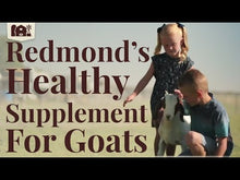 Load and play video in Gallery viewer, Goat Rock on a Rope