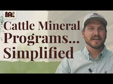 Load and play video in Gallery viewer, 10 Fine - Premium Mineral Salt
