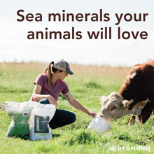 Load image into Gallery viewer, 10 Fine - Premium Mineral Salt
