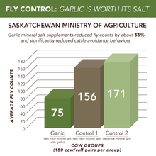 Load image into Gallery viewer, 10 Fine with Garlic
