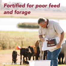 Load image into Gallery viewer, Beef Mineral
