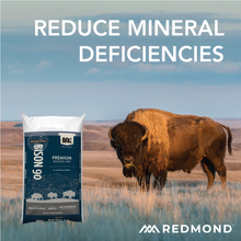 Load image into Gallery viewer, Bison 90
