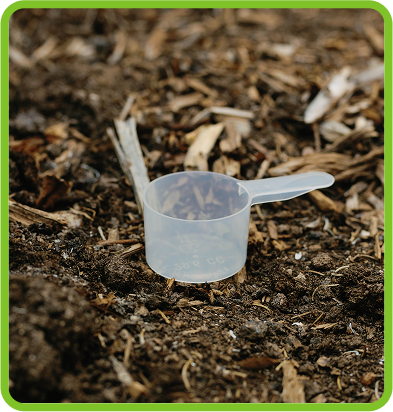 What's Inside Image 1