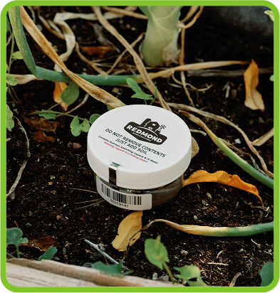 What's Inside Image 2