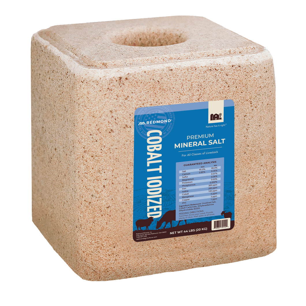 Cobalt Iodized Block
