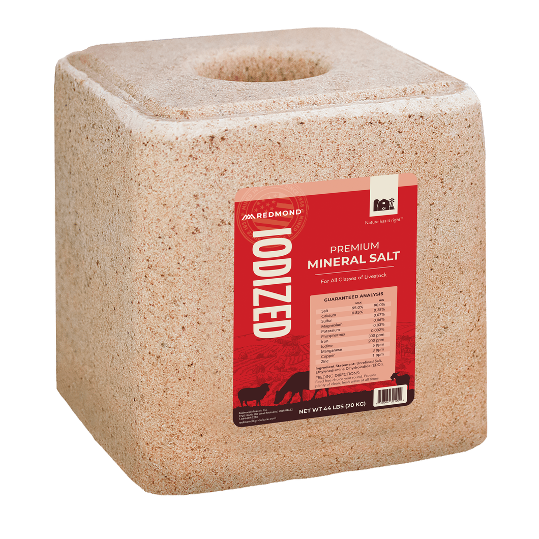 Iodized Block