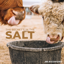 Load image into Gallery viewer, Selenium 90
