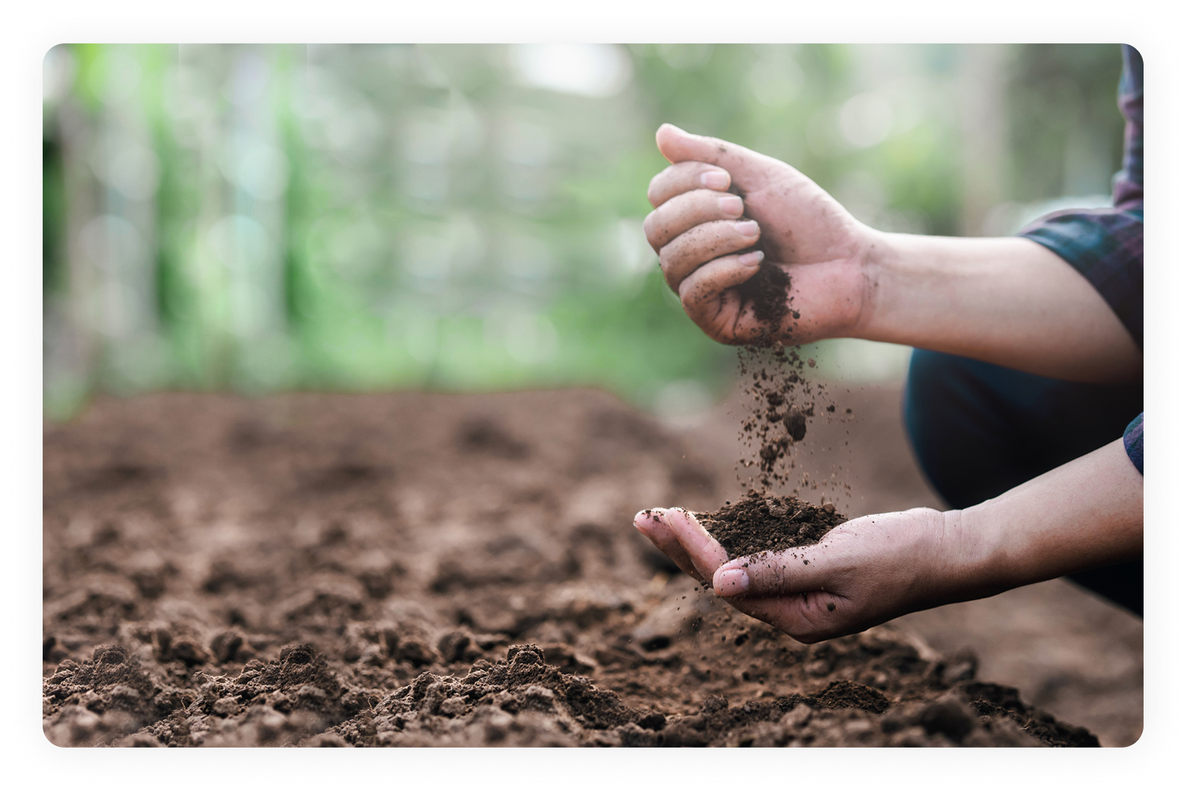 Gardener handling loose, healthy soil