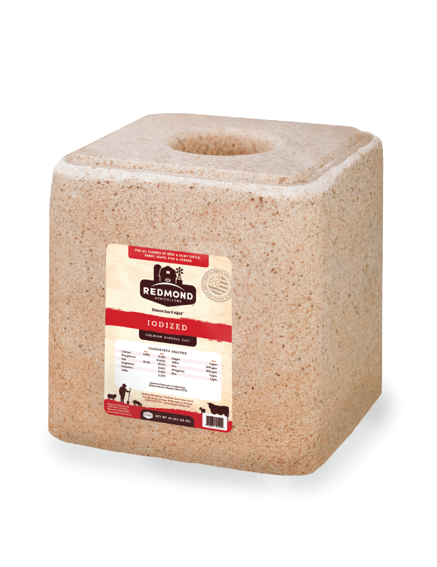 Redmond Iodized Premium Mineral Salt Block