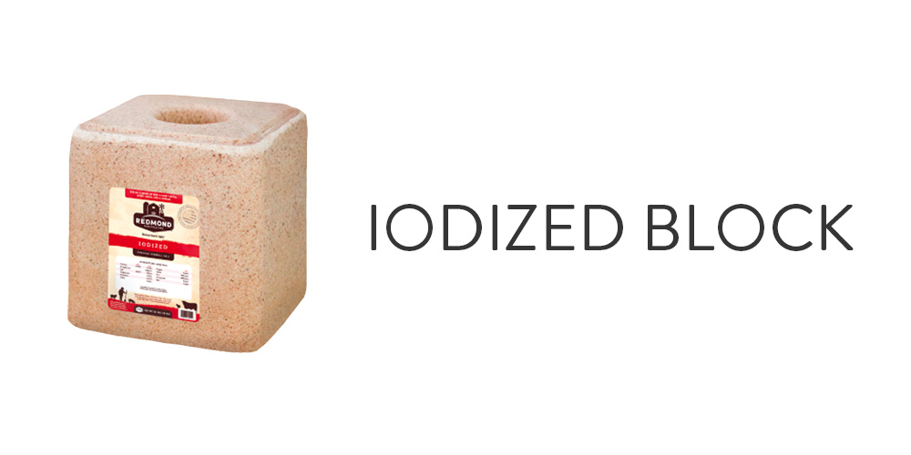 Iodized Block Iodized Block