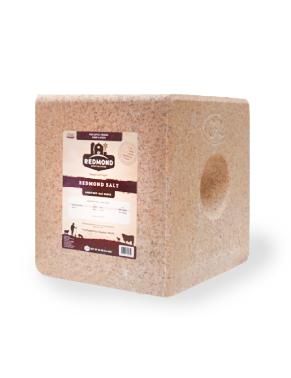 Redmond Salt Block