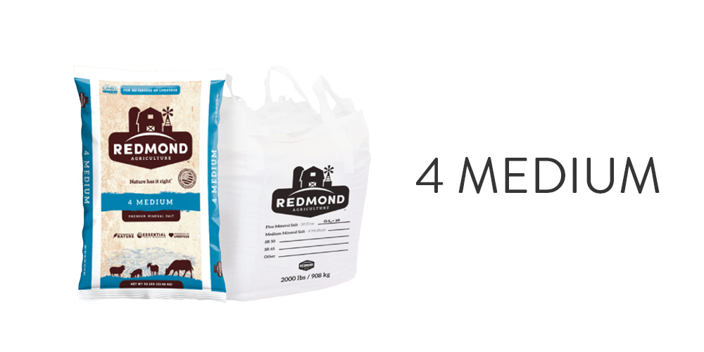 4 Medium 4 Medium