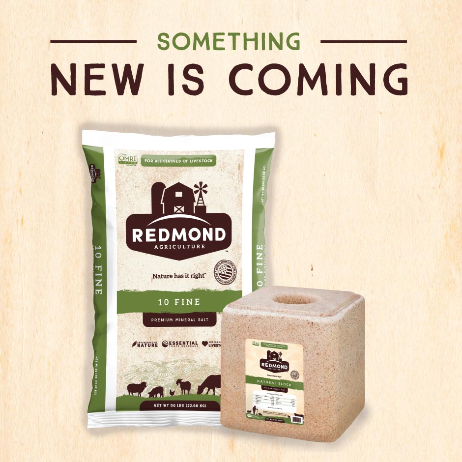 Redmond Rebrand Post 1