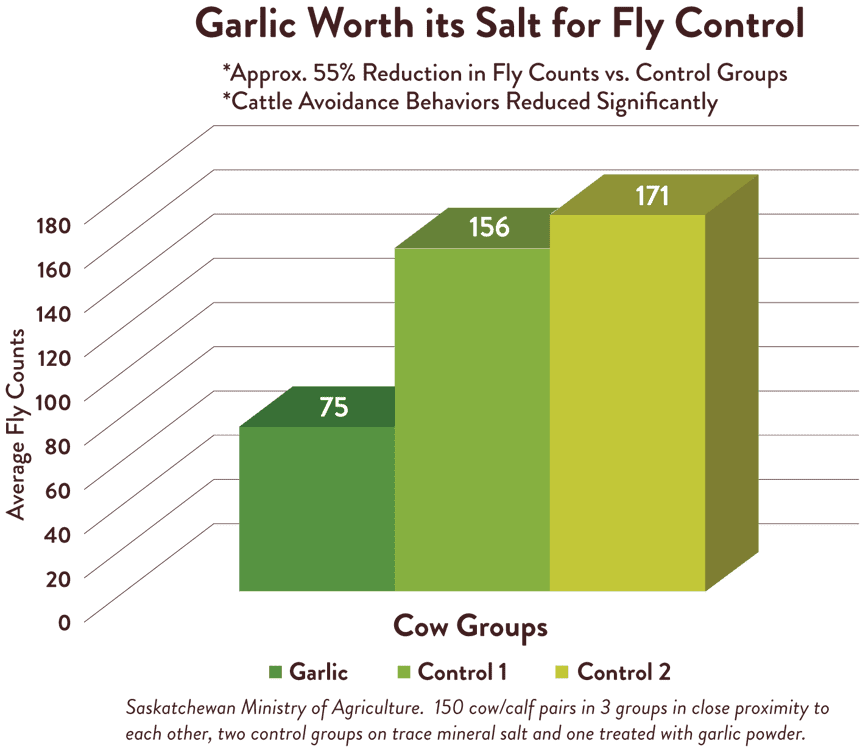 garlic-worth-graph
